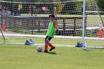 IMG_0100 (cam 0)