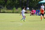IMG_0113 (cam 0)