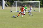 IMG_0123 (cam 0)