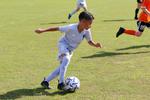 IMG_0130 (cam 0)
