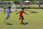 IMG_0141 (cam 0)