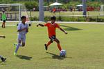 IMG_0142 (cam 0)