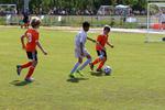 IMG_0166 (cam 0)