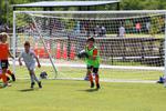 IMG_0175 (cam 0)