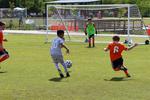 IMG_0198 (cam 0)