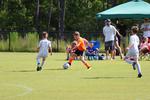 IMG_0201 (cam 0)