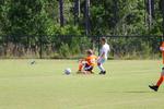 IMG_0203 (cam 0)