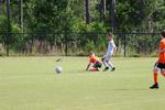 IMG_0205 (cam 0)