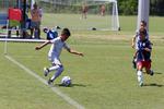 IMG_0014 (cam 0)