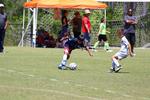 IMG_0029 (cam 0)