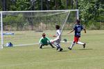 IMG_0042 (cam 0)