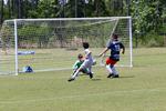 IMG_0043 (cam 0)