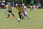 IMG_0011 (cam 0)