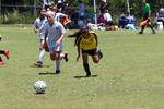 IMG_0015 (cam 0)
