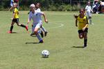 IMG_0016 (cam 0)