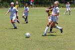 IMG_0017 (cam 0)