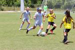 IMG_0038 (cam 0)
