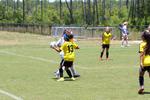 IMG_0044 (cam 0)