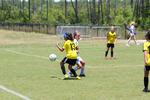 IMG_0045 (cam 0)