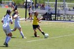 IMG_0054 (cam 0)