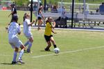 IMG_0055 (cam 0)