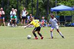 IMG_0064 (cam 0)