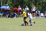 IMG_0065 (cam 0)