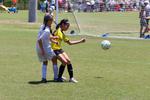 IMG_0077 (cam 0)