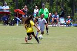 IMG_0084 (cam 0)