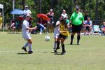 IMG_0086 (cam 0)