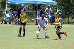 IMG_0091 (cam 0)