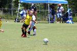 IMG_0093 (cam 0)