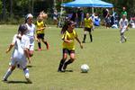 IMG_0097 (cam 0)