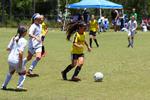 IMG_0098 (cam 0)