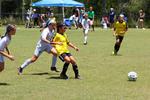 IMG_0100 (cam 0)