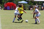 IMG_0111 (cam 0)