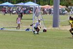 IMG_0125 (cam 0)