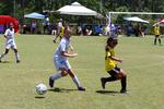 IMG_0135 (cam 0)
