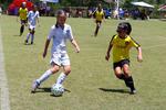 IMG_0137 (cam 0)