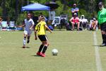 IMG_0146 (cam 0)