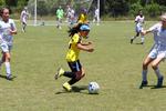 IMG_0162 (cam 0)