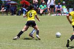IMG_0168 (cam 0)