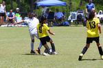 IMG_0170 (cam 0)