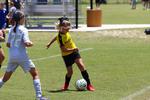 IMG_0196 (cam 0)