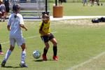 IMG_0197 (cam 0)