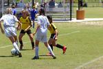 IMG_0200 (cam 0)
