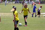 IMG_0203 (cam 0)