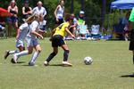 IMG_0217 (cam 0)