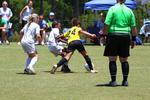 IMG_0219 (cam 0)