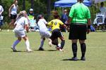 IMG_0220 (cam 0)